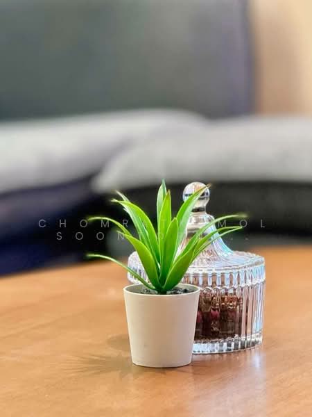 IDEO Sukhumvit Rama 4, Bangkok, Soi Sukhumvit 44, Sukhumvit Road, Phra Kanong, Khlong Toei, Bangkok, 2 Bedrooms, 35 sqm, Condo For Rent, by Chomratkamol Soontorntarawong (Gor), 500214664 - DDproperty.com