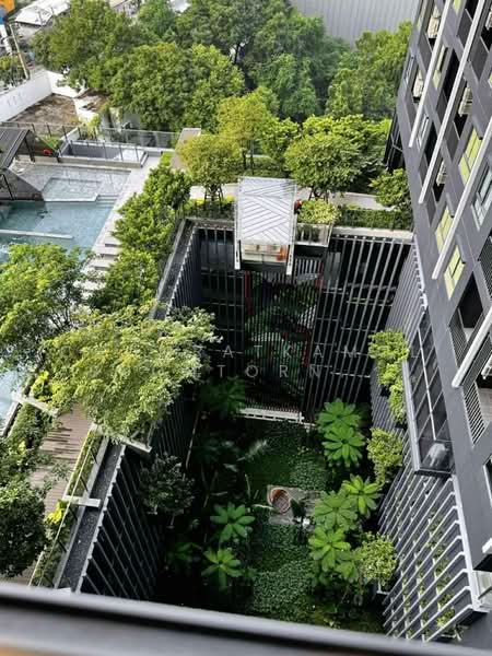 IDEO Sukhumvit Rama 4, Bangkok, Soi Sukhumvit 44, Sukhumvit Road, Phra Kanong, Khlong Toei, Bangkok, 2 Bedrooms, 35 sqm, Condo For Rent, by Chomratkamol Soontorntarawong (Gor), 500214664 - DDproperty.com