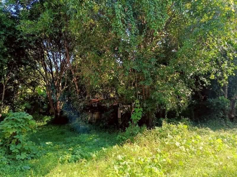 นครนายก, Nakhon Nayok, Nakhon Nayok, Muang Nakhon Nayok, Nakhon Nayok, , 1,200 sqm, Land For Sale, by HOMEPLUS REALTY - คุณของขวัญ, 500214708 - DDproperty.com