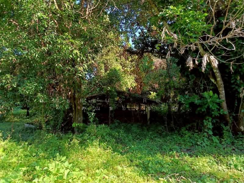 นครนายก, Nakhon Nayok, Nakhon Nayok, Muang Nakhon Nayok, Nakhon Nayok, , 1,200 sqm, Land For Sale, by HOMEPLUS REALTY - คุณของขวัญ, 500214708 - DDproperty.com