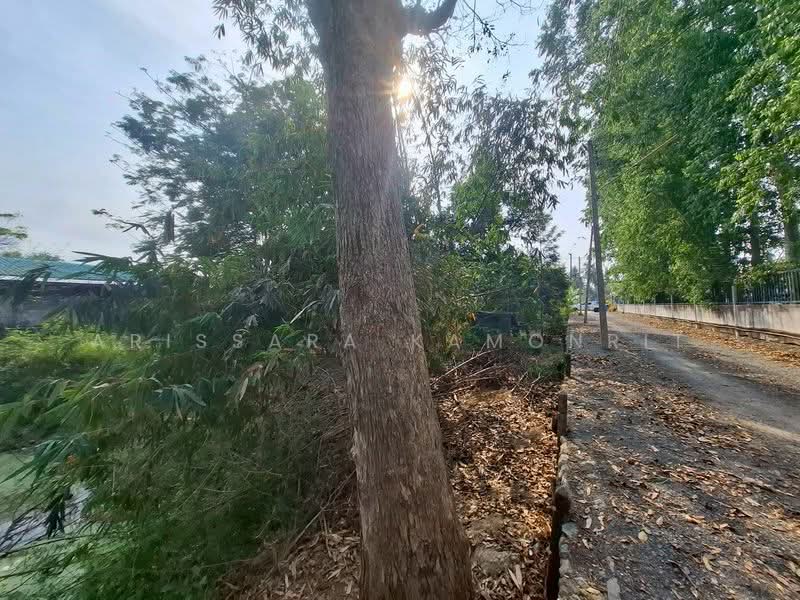 Land for Sale Located on Huai Yai – Chak Ngaew main road, Chon Buri (Pattaya), Huai Yai, Bang Lamung (Pattaya), Chon Buri (Pattaya), , 1,240 sqm, Land For Sale, by Arissara Kamonrit, 500214753 - DDproperty.com