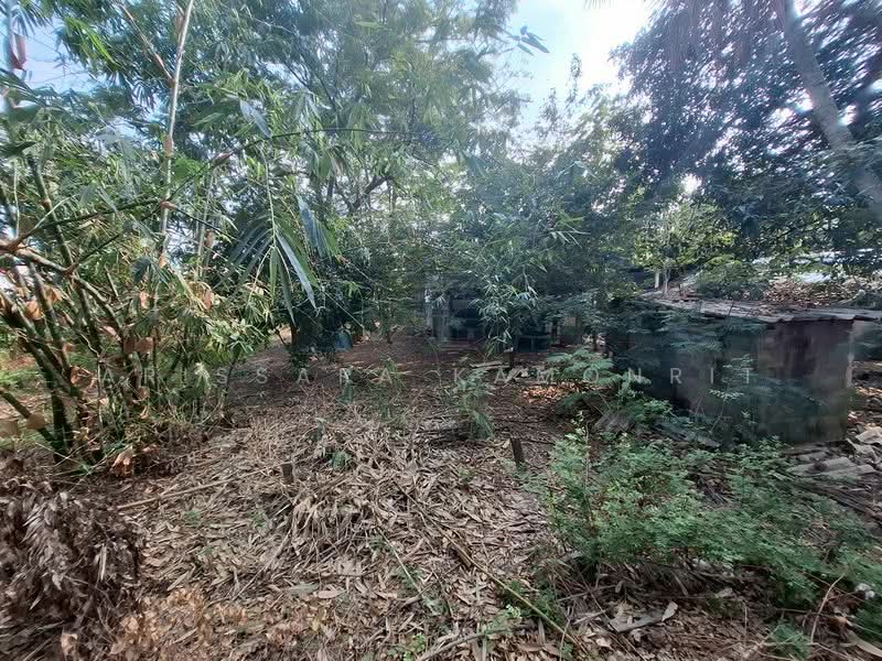 ที่ดินห้วยใหญ่, ชลบุรี, ห้วยใหญ่, บางละมุง, ชลบุรี, 1,240 ตร.ม., ที่ดิน ขาย, โดย Arissara Kamonrit, 500214753 - DDproperty.com