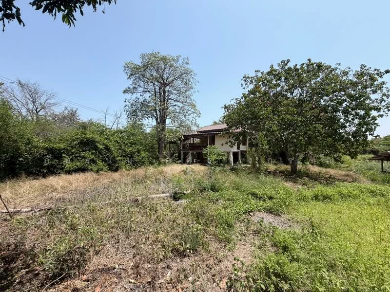 ที่ดิน เนื้อที่ 366 ตารางวา ถนนทางหลวงชนบท หมายเลข 4024 ต.สำพะเนียง อ.บ้านแพรก จ.พระนครศรีอยุธยา, Phra Nakhon Si Ayutthaya, ทางหลวงชนบท อบ.4024, Sam Phaniang, Ban Phraek, Phra Nakhon Si Ayutthaya, , 1,464 sqm, Land For Sale, by ภัทรนัน อิศรางกูร ณ อยุธยา, 500214784 - DDproperty.com