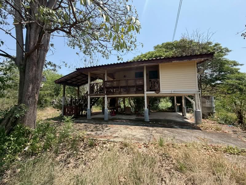 ที่ดิน เนื้อที่ 366 ตารางวา ถนนทางหลวงชนบท หมายเลข 4024 ต.สำพะเนียง อ.บ้านแพรก จ.พระนครศรีอยุธยา, พระนครศรีอยุธยา, ทางหลวงชนบท อบ.4024, สำพะเนียง, บ้านแพรก, พระนครศรีอยุธยา, 1,464 ตร.ม., ที่ดิน ขาย, โดย ภัทรนัน อิศรางกูร ณ อยุธยา, 500214784 - DDproperty.com