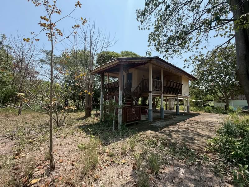 ที่ดิน เนื้อที่ 366 ตารางวา ถนนทางหลวงชนบท หมายเลข 4024 ต.สำพะเนียง อ.บ้านแพรก จ.พระนครศรีอยุธยา, Phra Nakhon Si Ayutthaya, ทางหลวงชนบท อบ.4024, Sam Phaniang, Ban Phraek, Phra Nakhon Si Ayutthaya, , 1,464 sqm, Land For Sale, by ภัทรนัน อิศรางกูร ณ อยุธยา, 500214784 - DDproperty.com