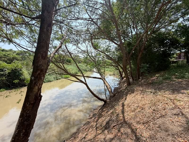 ที่ดิน เนื้อที่ 366 ตารางวา ถนนทางหลวงชนบท หมายเลข 4024 ต.สำพะเนียง อ.บ้านแพรก จ.พระนครศรีอยุธยา, พระนครศรีอยุธยา, ทางหลวงชนบท อบ.4024, สำพะเนียง, บ้านแพรก, พระนครศรีอยุธยา, 1,464 ตร.ม., ที่ดิน ขาย, โดย ภัทรนัน อิศรางกูร ณ อยุธยา, 500214784 - DDproperty.com