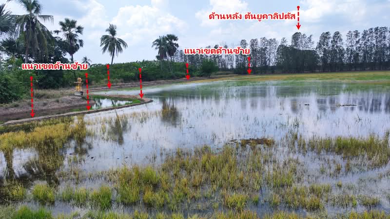 ขาย - ที่ดิน 16 ไร่ ห้วยด้วน กำแพงแสน นครปฐม, นครปฐม
