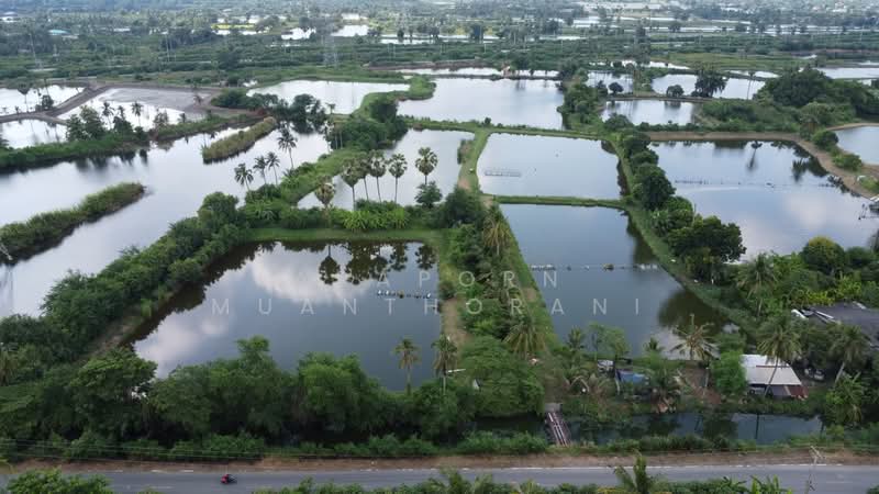 ขายที่ดินเปล่า 12 ไร่ - 0 งาน - 66 ตร.ว. ท่าพระยา นครชัยศรี, nakhon-pathom, Tha Phraya, Nakhon Chai Sri, Nakhon Pathom, , 19,464 sqm, Land For Sale, by Apaporn Muanthorani, 500214804 - DDproperty.com