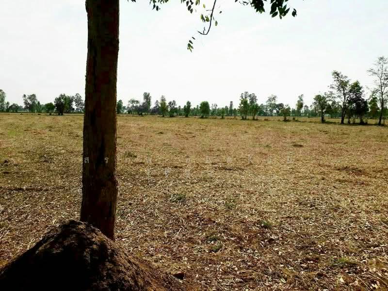 ขาย - ขาย ที่ดิน 64-0-48 ไร่ ตำบลห้วยถั่วเหนือ อำเภอหนองบัว จังหวัดนครสวรรค์, นครสวรรค์