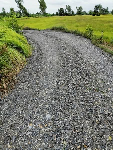 ขาย - ขาย ที่ดิน 64-0-48 ไร่ ตำบลห้วยถั่วเหนือ อำเภอหนองบัว จังหวัดนครสวรรค์, นครสวรรค์