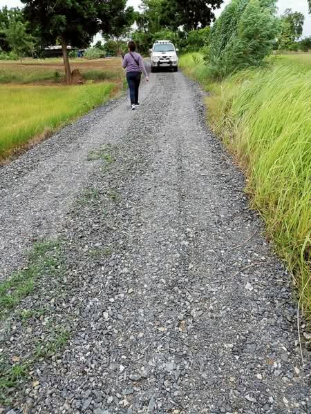 ขาย ที่ดิน 64-0-48 ไร่ ตำบลห้วยถั่วเหนือ อำเภอหนองบัว จังหวัดนครสวรรค์, Nakhon Sawan, Huai Thua Nua, Nong Bua, Nakhon Sawan, , 102,592 sqm, Land For Sale, by สรภพ ยอดไชย (สีฝุ่น), 500214825 - DDproperty.com