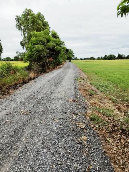 ขาย ที่ดิน 64-0-48 ไร่ ตำบลห้วยถั่วเหนือ อำเภอหนองบัว จังหวัดนครสวรรค์, Nakhon Sawan, Huai Thua Nua, Nong Bua, Nakhon Sawan, , 102,592 sqm, Land For Sale, by สรภพ ยอดไชย (สีฝุ่น), 500214825 - DDproperty.com