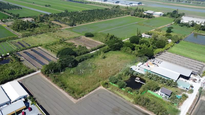 ขายที่ดินเปล่า 1 ไร่ 2 งาน คลองโยง นครปฐม ที่ดินสี่เหลี่ยม เหมาะสำหรับสร้างโรงงาน บ้านจัดสรร เกษตร, Nakhon Pathom, Khlong Yong, Phuttha Mon Thon, Nakhon Pathom, , 2,400 sqm, Land For Sale, by Apaporn Muanthorani, 500214832 - DDproperty.com