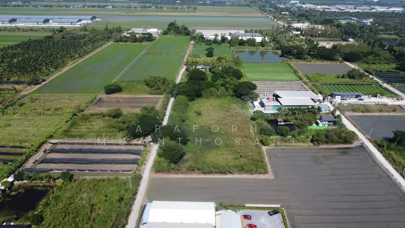 ขายที่ดินเปล่า 1 ไร่ 2 งาน คลองโยง นครปฐม ที่ดินสี่เหลี่ยม เหมาะสำหรับสร้างโรงงาน บ้านจัดสรร เกษตร, Nakhon Pathom, Khlong Yong, Phuttha Mon Thon, Nakhon Pathom, , 2,400 sqm, Land For Sale, by Apaporn Muanthorani, 500214832 - DDproperty.com