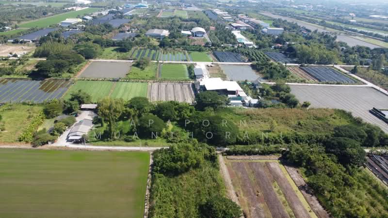 ขายที่ดินเปล่า 1 ไร่ 2 งาน คลองโยง นครปฐม, Nakhon Pathom, Khlong Yong, Phuttha Mon Thon, Nakhon Pathom, , 2,400 sqm, Land For Sale, by Apaporn Muanthorani, 500214832 - DDproperty.com