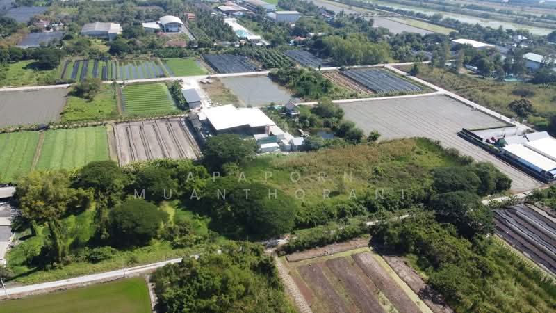 ขายที่ดินเปล่า 1 ไร่ 2 งาน คลองโยง นครปฐม, Nakhon Pathom, Khlong Yong, Phuttha Mon Thon, Nakhon Pathom, , 2,400 sqm, Land For Sale, by Apaporn Muanthorani, 500214832 - DDproperty.com