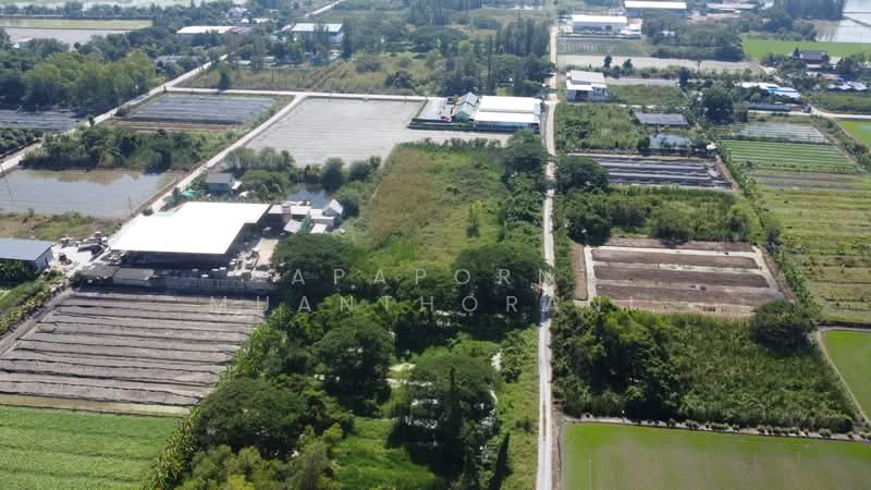ขายที่ดินเปล่า 1 ไร่ 2 งาน คลองโยง นครปฐม, Nakhon Pathom, Khlong Yong, Phuttha Mon Thon, Nakhon Pathom, , 2,400 sqm, Land For Sale, by Apaporn Muanthorani, 500214832 - DDproperty.com