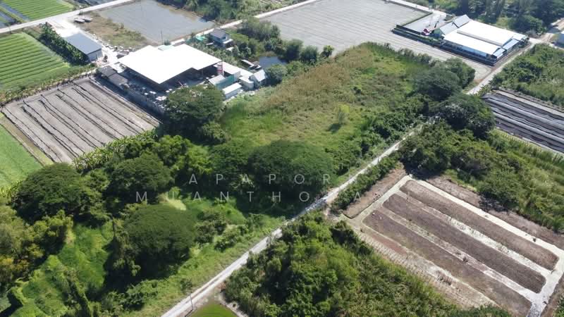 ขายที่ดินเปล่า 1 ไร่ 2 งาน คลองโยง นครปฐม, Nakhon Pathom, Khlong Yong, Phuttha Mon Thon, Nakhon Pathom, , 2,400 sqm, Land For Sale, by Apaporn Muanthorani, 500214832 - DDproperty.com