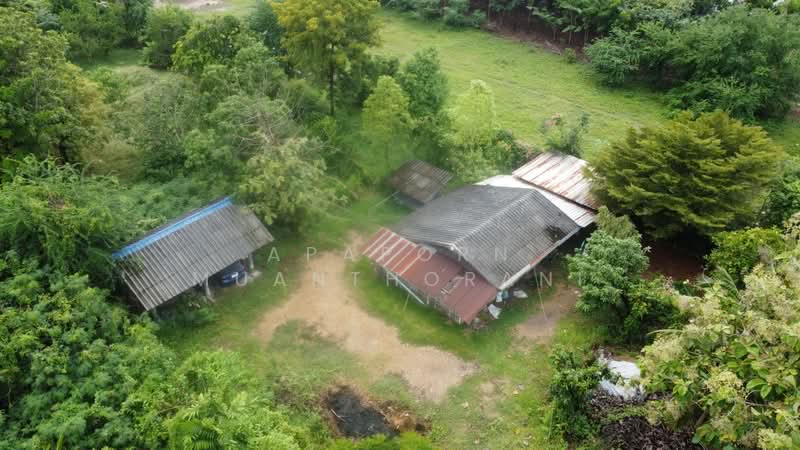 ขาย - ที่ดิน 3 ไร่ บรรยากาศดี เงียบสงบ เหมาะทำบ้านพักอาศัย สวนเกษตร คาเฟ่ หรือทำธุรกิจเล็กๆ ได้สบาย, นครปฐม