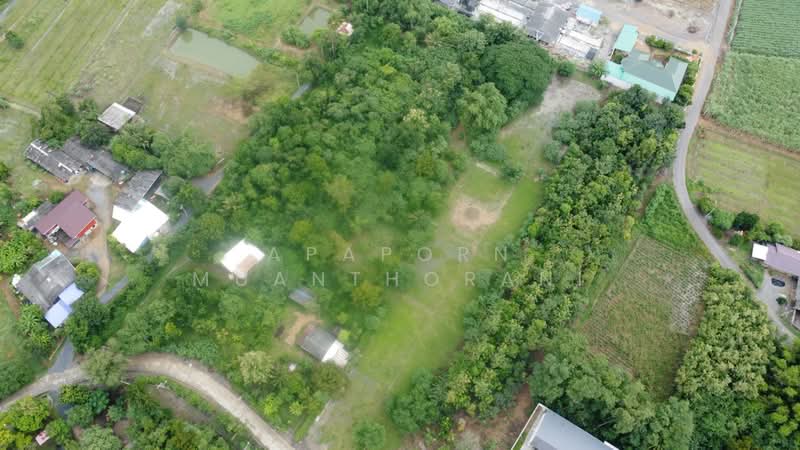 ✨ขายด่วน! ที่ดินพร้อมสิ่งปลูกสร้าง กำแพงแสน ทำเลน่าอยู่ 🔥 พื้นที่ 3 ไร่ บรรยากาศดี เงียบสงบ, นครปฐม, วังน้ำเขียว, กำแพงแสน, นครปฐม, 4,800 ตร.ม., ที่ดิน ขาย, โดย Apaporn Muanthorani, 500214856 - DDproperty.com