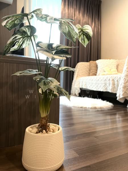 Living Nest Ramkhamhaeng, Bangkok, 845 Ramkhamhaeng Road, Hua Mak, Bang Kapi, Bangkok, 2 Bedrooms, 47 sqm, Condo For Rent, by Wathanyu  Withanakul, 500214863 - DDproperty.com