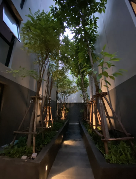 Vtara Sukhumvit 36, Bangkok, 118 Soi Saen Sabai, Phra Kanong, Khlong Toei, Bangkok, 2 Bedrooms, 65 sqm, Condo For Rent, by Sutavee Chonlabud, 500214972 - DDproperty.com