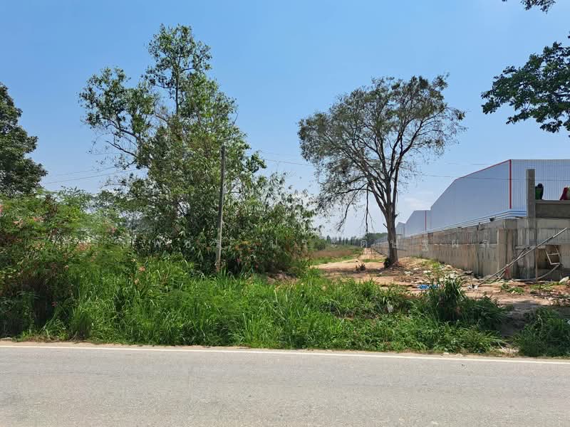 Land for sale in Phatthananikhom Soi 11, Rayong Province. 23.5 rai,purple zone Near WHA36 and BYD, Rayong, สาย11 ซอย11, Makhamku, Nikhom Pattana, Rayong, , 37,664 sqm, Land For Sale, by Sureepatch Praditthaphon, 500215002 - DDproperty.com