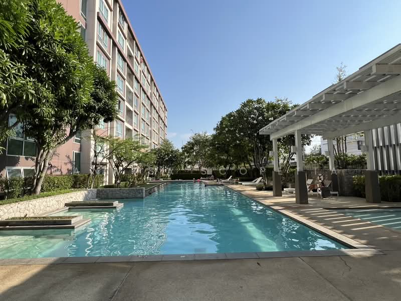 Baan Peang Ploen, Prachuap Khiri Khan, 6/608 Mooban Huadon, Nong Kae, Hua Hin, Prachuap Khiri Khan, 1 Bedroom, 30 sqm, Condo For Sale, by Wanwisa Scopetta, 500215006 - DDproperty.com