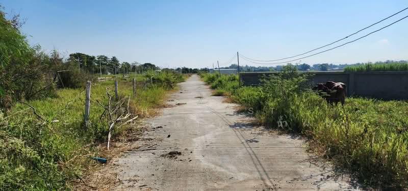 ขาย - ที่ดินหางดง เชียงใหม่, เชียงใหม่