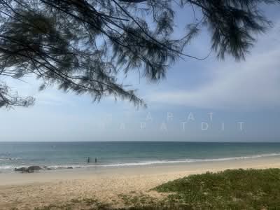 ขาย - โคกกลอย, พังงา