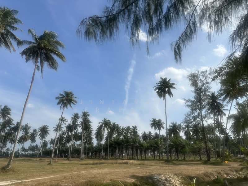 ขาย - โคกกลอย, พังงา