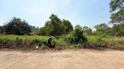 ขาย - ที่ดินหนองเสือ คลอง11, ปทุมธานี