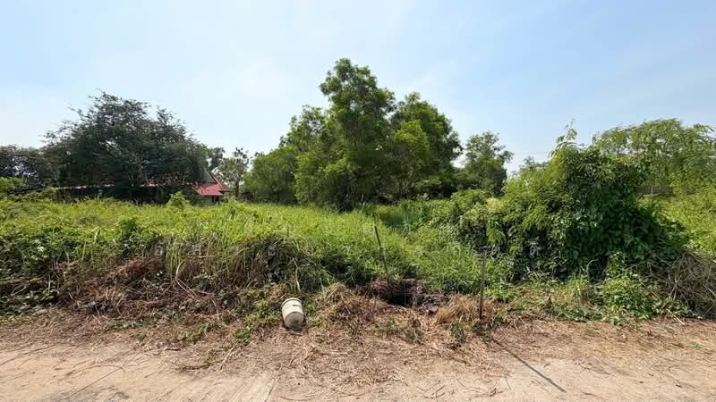 ขาย - ที่ดินหนองเสือ คลอง11, ปทุมธานี