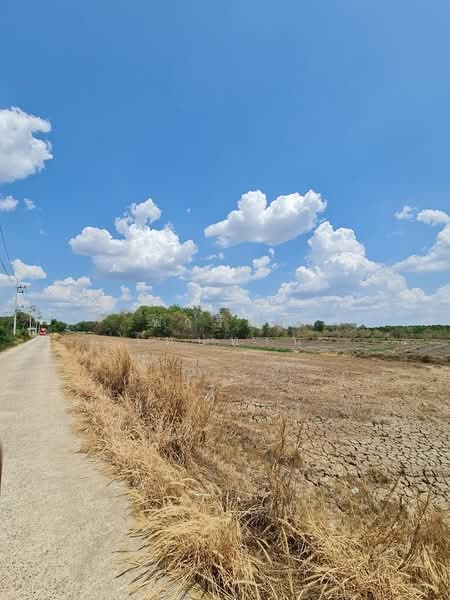 Land for sale in Prachinburi, 8-0-66 rai, on Prachinburi Anusorn Road., Prachin Buri, Tha Ngam, Muang Prachin Buri, Prachin Buri, , 13,064 sqm, Land For Sale, by Fareeda Thaipatan, 500215141 - DDproperty.com