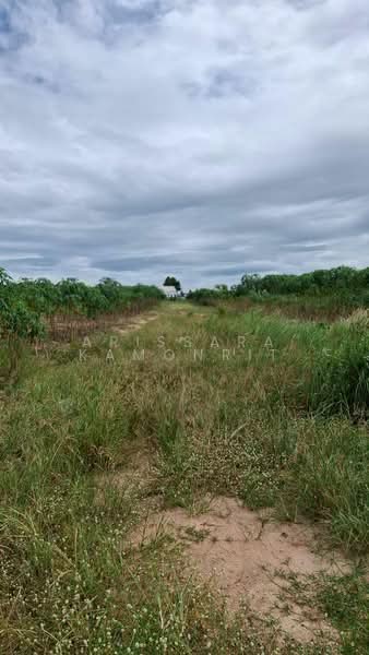 LandForSale Amata, Rayong, Mapyangphon, Pluak Daeng, Rayong, , 35,576 sqm, Land For Sale, by Arissara Kamonrit, 500215173 - DDproperty.com