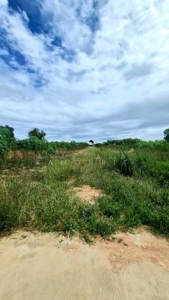 LandForSale Amata, Rayong, Mapyangphon, Pluak Daeng, Rayong, , 35,576 sqm, Land For Sale, by Arissara Kamonrit, 500215173 - DDproperty.com