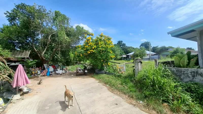 LandForSale Pong, Chon Buri (Pattaya), Poong, Bang Lamung (Pattaya), Chon Buri (Pattaya), , 480 sqm, Land For Sale, by Arissara Kamonrit, 500215194 - DDproperty.com