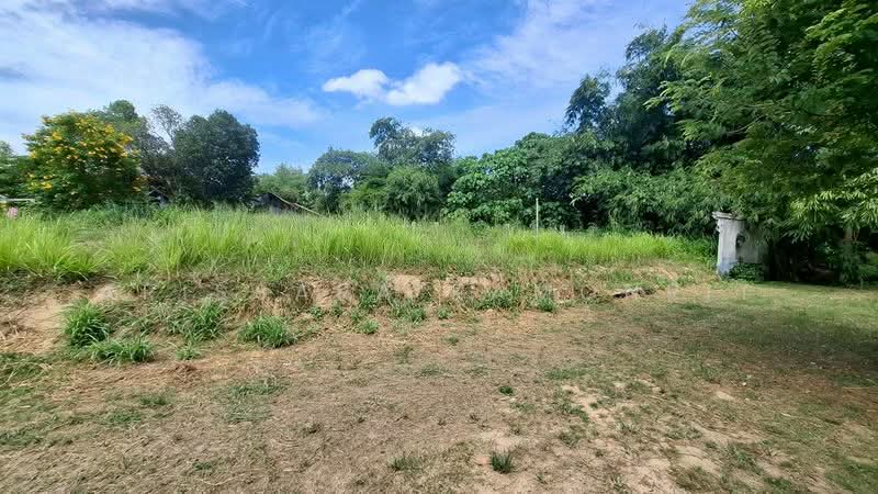 LandForSale Pong, Chon Buri (Pattaya), Poong, Bang Lamung (Pattaya), Chon Buri (Pattaya), , 480 sqm, Land For Sale, by Arissara Kamonrit, 500215194 - DDproperty.com