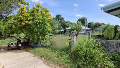 ขาย - ที่ดินเปล่า โป่งบน ที่ติดคลอง, ชลบุรี