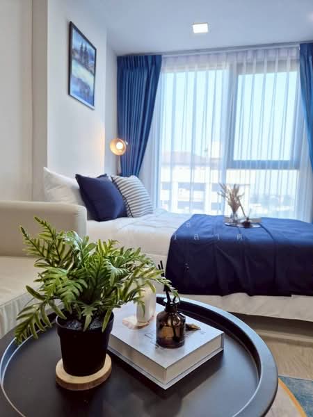 Atmoz Oasis Onnut, Bangkok, Soi On Nut 66/1, On Nut Road, Suan Luang, Suan Luang, Bangkok, 1 Bedroom, 24 sqm, Condo For Rent, by กำพนธ์ อัศวศิริวิลาศ, 500215216 - DDproperty.com