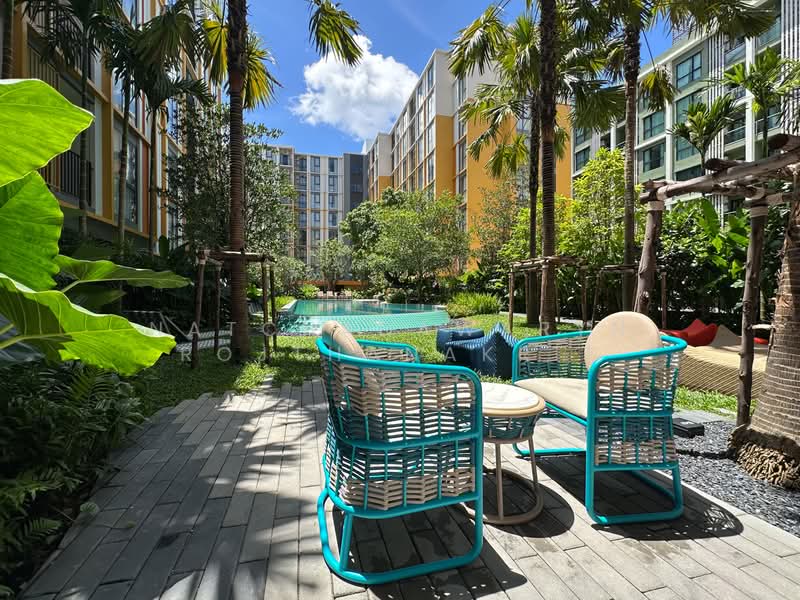 The Base Rise, Phuket, Wichit, Muang Phuket, Phuket, 1 Bedroom, 34 sqm, Condo For Sale, by Natchadawaryn Rojthanakrit, 500215311 - DDproperty.com