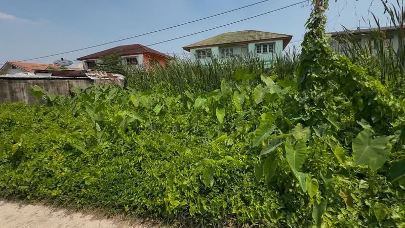 ขาย - ที่ดินซอยพุทธานุภาพ บางแวก 152/1, กรุงเทพ