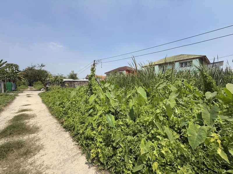 ขาย - ที่ดินซอยพุทธานุภาพ บางแวก 152/1, กรุงเทพ