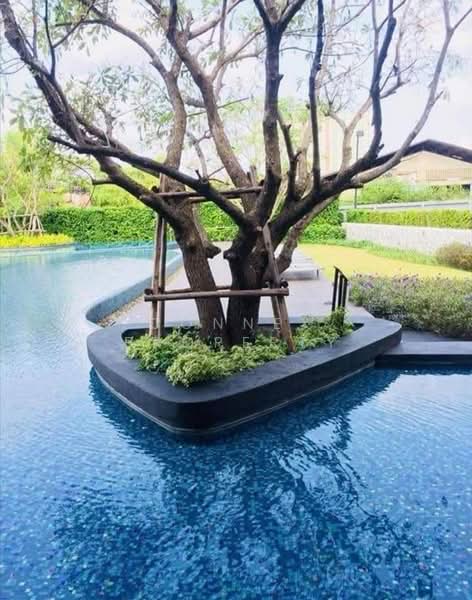 U Delight Residence Riverfront Rama 3 : ยู ดีไลท์ เรสซิเดนซ์ ริเวอร์ฟรอนท์ พระราม 3, กรุงเทพ, 772 ถนนพระราม 3, บางโพงพาง, ยานนาวา, กรุงเทพ, 58 ตร.ม., คอนโด ให้เช่า, โดย Connex Property, 500215347 - DDproperty.com