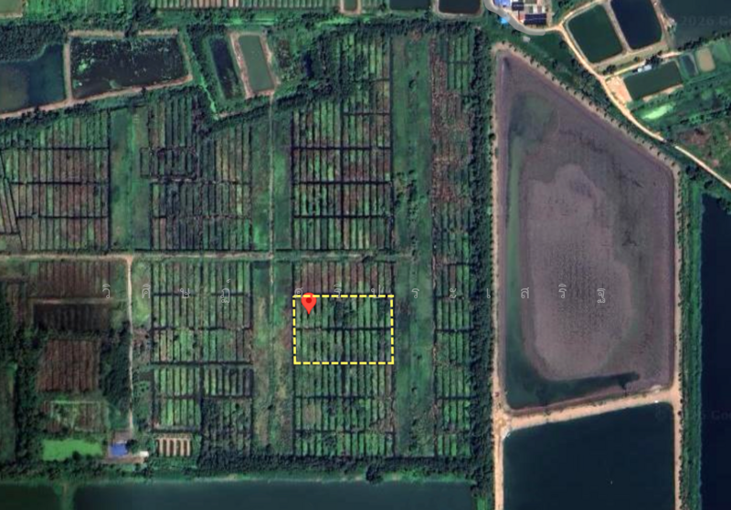 Land for sale, totaling 4 rai, near Yuprachanukroh School, Nong Suea, Pathum Thani. Very chea, Pathum Thani, Sala Khru, Nong Sua, Pathum Thani, , 6,400 sqm, Land For Sale, by WISIT SRIPRASERT, 500215361 - DDproperty.com