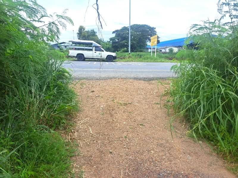 Land for sale, totaling 4 rai, near Yuprachanukroh School, Nong Suea, Pathum Thani. Very chea, Pathum Thani, Sala Khru, Nong Sua, Pathum Thani, , 6,400 sqm, Land For Sale, by WISIT SRIPRASERT, 500215361 - DDproperty.com