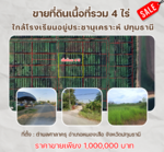 หนองเสือ, ปทุมธานี