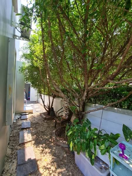 ให้เช่า - The Colors Wongwaen-Ramintra 2 : เดอะ คัลเลอร์ส วงแหวนฯ-รามอินทรา 2, กรุงเทพ