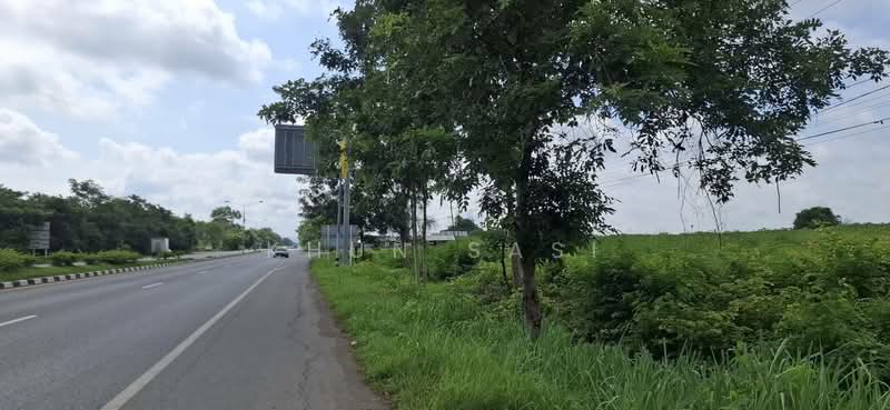 ขาย - ที่ดินอำเภอเมืองเพชรบูรณ์, เพชรบูรณ์