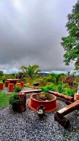 ขาย - ที่ดินทะเลหมอก หล่มเก่า เพชรบูรณ์, เพชรบูรณ์